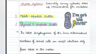 Shuttle Systems Malate Aspartate shuttle and Glycerol 3phosphate shuttle neetpgpreparation [upl. by Linden]