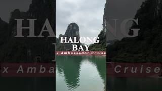 Experiencing a luxury cruise in Halong Bay Vietnam [upl. by Madeleine]