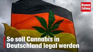 „Mit klaren Grenzen“  So soll Cannabis in Deutschland legal werden  kronetv NEWS [upl. by Ahseenal]