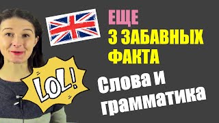 Учим английский по забавным фактам Разбор предложений [upl. by Edris]