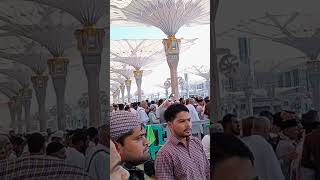 AL MADINA MUNAWARA IS BHAI KO SAPORT KARNA [upl. by Naejarual624]