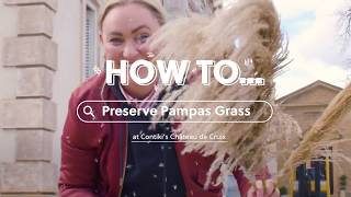 DIY Decor Ideas How to Preserve Pampas Grass  Contiki [upl. by Sargent967]