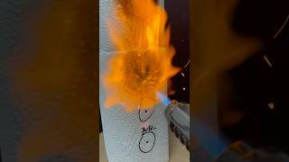 Powerful Lighter vs Paper Towel [upl. by Nared84]