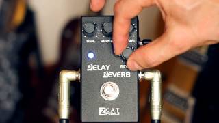 ZCAT DELAYREVERB Demo [upl. by Hamil]