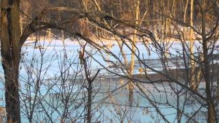 Brushy Creek lake Iowa Ice fishing report by WillCFish Tips and Tricks [upl. by Nesahc78]