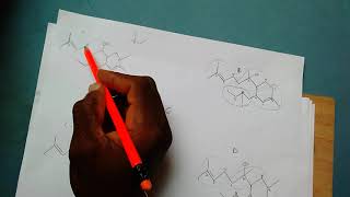 How to identify a Terpene and its isoprene units [upl. by Jemmie]