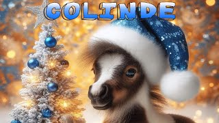 Colinde de Craciun 2025 [upl. by Atirec]