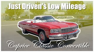 We Show Off Our Immaculate 1975 Caprice Classic Convertible [upl. by Ardnuyek]