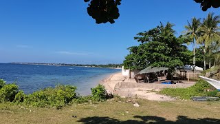 half Hectares Beachlot for sale in Daan Bantayan Cebu Philippines [upl. by Shien]