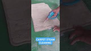 STEAM CLEANING CAR DUBAI carcareservices carcleaningservice carcare detailing carcleaningser [upl. by Yeoj407]