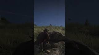 Red Dead Redemption 2 Hay que ser sigiloso con los O´driscolls [upl. by Arie]