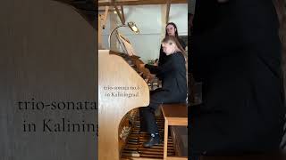 BACH  triosonata no6 in G major BWV530 music organist organ bach органист музыка бах [upl. by Thatcher]