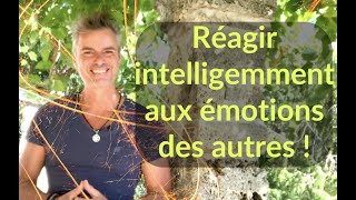 Réagir intelligemment aux émotions des autres [upl. by Wan]