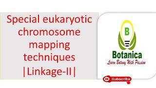 Special eukaryotic chromosome mapping techniques LinkageII [upl. by Ettedranreb]