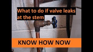 Fix Shut Off Valve Leaking at Stem [upl. by Ahsatak]