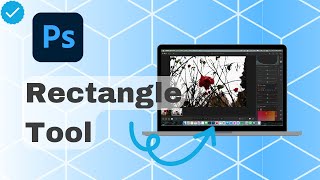 How To Use Rectangle Tool In Photoshop [upl. by Ecinereb]