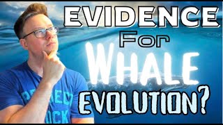 Responding to Evidence for Whale Evolution  Pseudogenes amp Embryological Development [upl. by Endres]