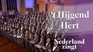 Nederland Zingt Psalm 42  t Hijgend Hert [upl. by Stralka]