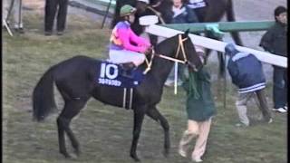 1999 有馬記念 本馬場入場 [upl. by Hamforrd]