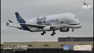 Airbus Beluga XL lands at Heathrow Airport for the very first time [upl. by Ordnagela]