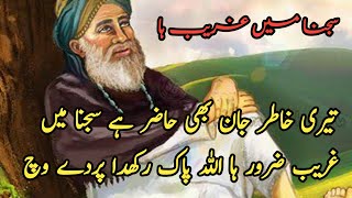 Teri khatir jaan bhi hajir Hai sajna main garib zaroor aana Drad bhari shayari baba bulleh shah [upl. by Ylecic486]