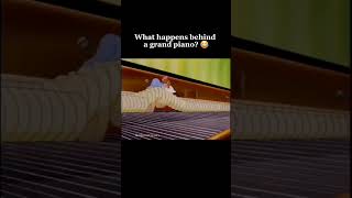 Whats happen behind a grand piano funny classicalpiano classicalmusic music pianomusic [upl. by Gnoht]