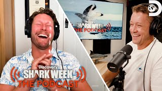 Why is Tagging Baby Great White Sharks So Important – Dr Riley Elliott  Shark Week The Podcast [upl. by Boorer]