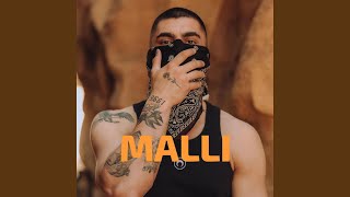 MALLI Butrint Imeri [upl. by Campy]