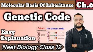 Genetic Code  Molecular Basis Of Inheritance [upl. by Sitsuj]