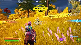 fortnite chapter 4 xp glitch [upl. by Eladnyl]