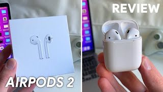 Compré los AirPods MÁS BARATOS de Apple y así me fue 🫢 [upl. by Eirrehc]