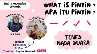 Apa itu Pinyin dalam Mandarin Nada suaraTones [upl. by Onifled]