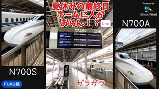 ガラガラの新幹線新大阪駅ライブ🚅 [upl. by Nanerb25]