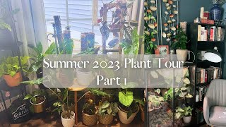 Summer 2023 Houseplant Tour Pt 1 Rare and common 200 Houseplants [upl. by Arabela]