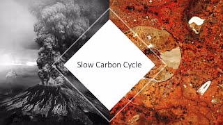 Slow Carbon Cycle ALevel Geography [upl. by Rika]