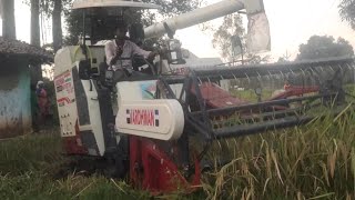 हार्वेस्टर मशीन धान cutting 🔥  Vardhman harvester combine machine [upl. by Eidahs77]