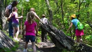 Basics of Hiking with Kids [upl. by Westbrooke]