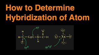 How to Determine the Hybridization of an Atom sp sp2 sp3 sp3d sp3d2 Practice Problem amp Example [upl. by Aham647]