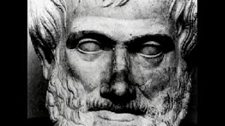 A Dose of Aristotle [upl. by Godred]