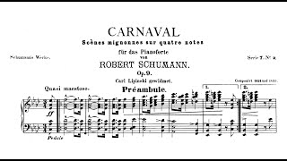 Robert Schumann  Op9 Carnaval Hamelin [upl. by Arrekahs126]