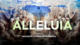 ALLELUIA  Prophetic Worship Instrumental by Benny Hinn [upl. by Sokul]