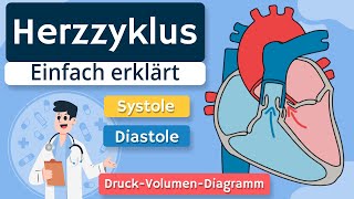 Herzzyklus  Systole Diastole und DruckVolumenDiagramm einfach erklärt [upl. by Nylesoy]