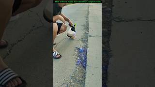 How Potholes Are Filled In Foreign Countries shorts [upl. by Nodnar183]