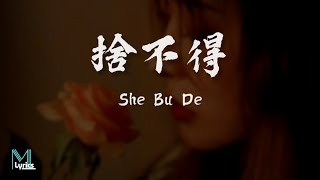 Di Li Re Ba 迪麗熱巴  She Bu De 捨不得 Lyrics 歌词 PinyinEnglish Translation 動態歌詞 [upl. by Sherl]