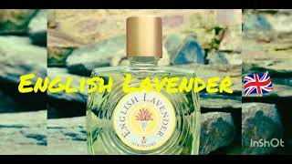 Atkinsons English Lavender 🇬🇧 1837 by Atkinsons Fragrance Review [upl. by Wira]