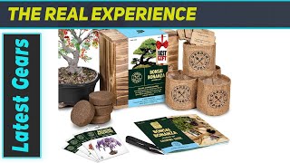 Bonsai Tree Seed Starter Kit  Best Mini Growing Kit for Beginners [upl. by Nannahs]