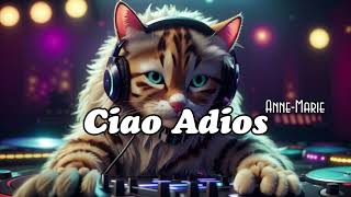 AnneMarie  Ciao Adios Lyrics [upl. by Dola]