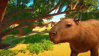 Starting an Ethical Zoo in Planet Zoo Franchise Mode [upl. by Ennaxxor]