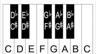 Learn Piano Keys And Notes  Piano Keyboard Diagrams [upl. by Nauqahs]