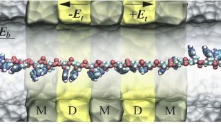 Nanobioelectronic devices [upl. by Holcman758]